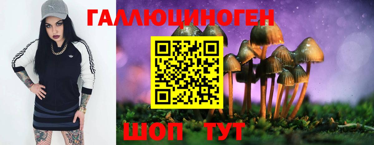Галлюциногенные грибы MAGIC MUSHROOMS Бор